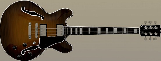 Semi Acoustic Guitar