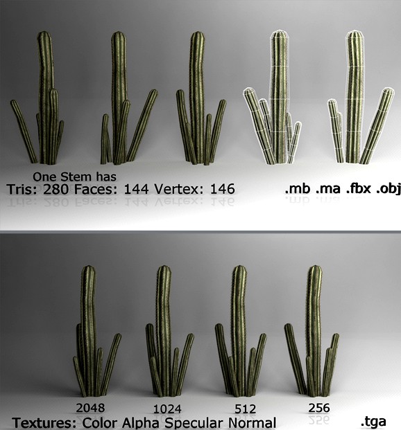 Low poly Cactus