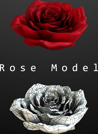 Rose Model
