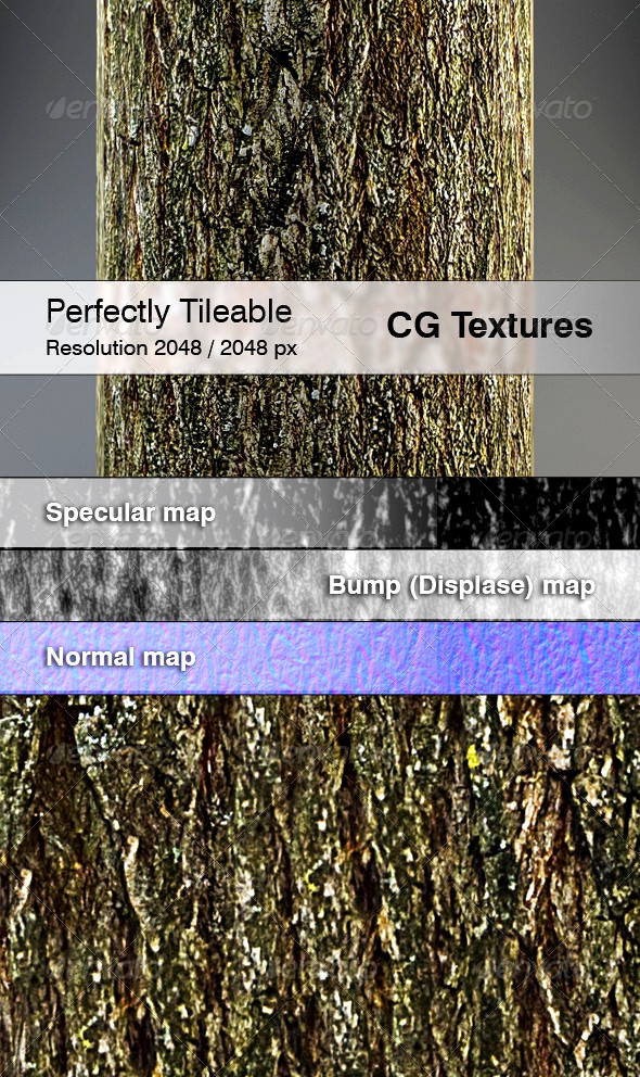Realistic Willow Bark Textures
