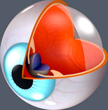 3d Eye