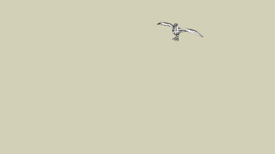 gull