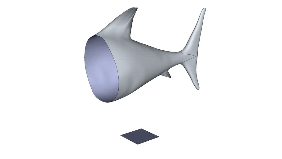 Great White Shark - Part 02 Tail