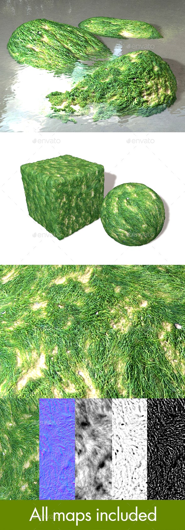 Seaweed Fine Seamless Texture