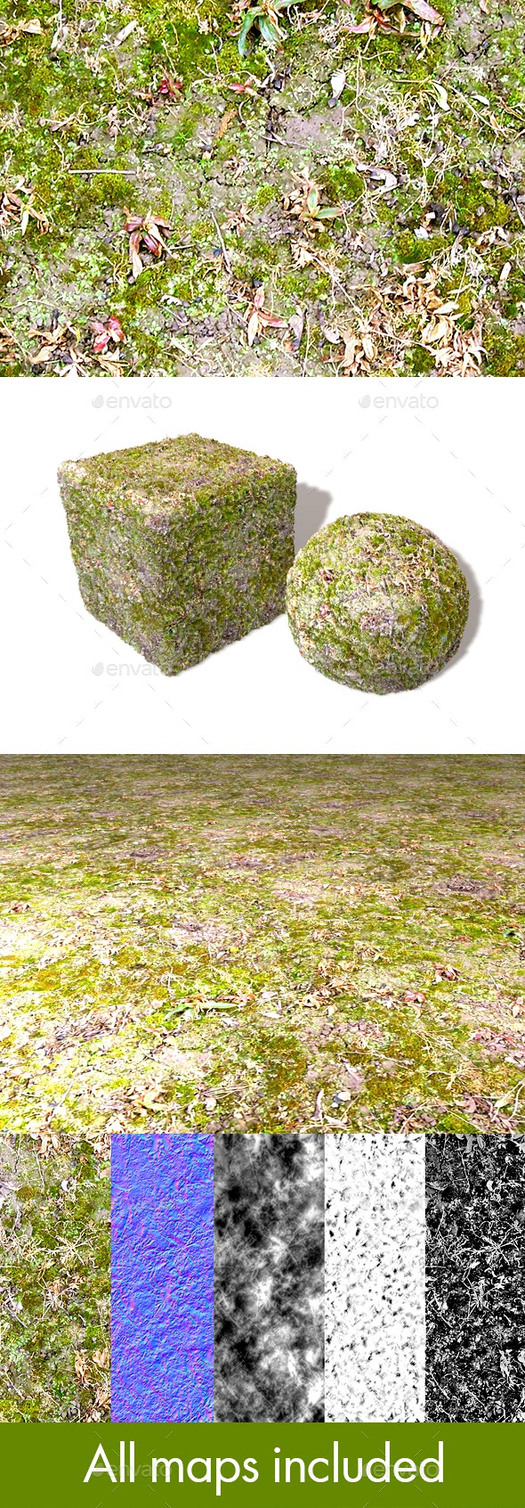 Wet Moss Seamless Texture