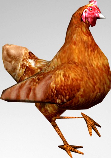 Animated Chicken