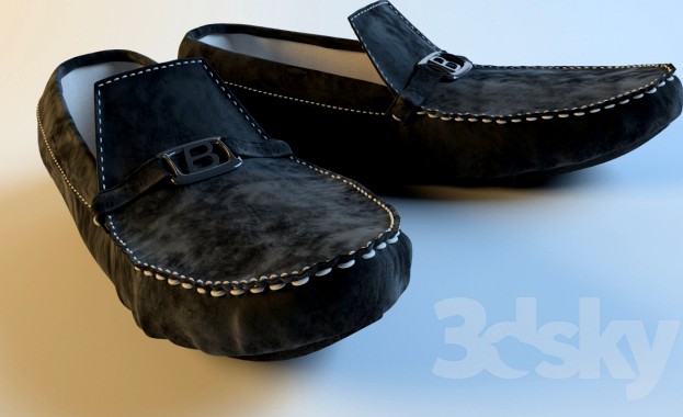 Moccasin