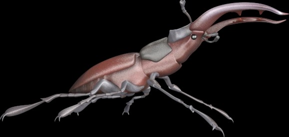 stag_beetle
