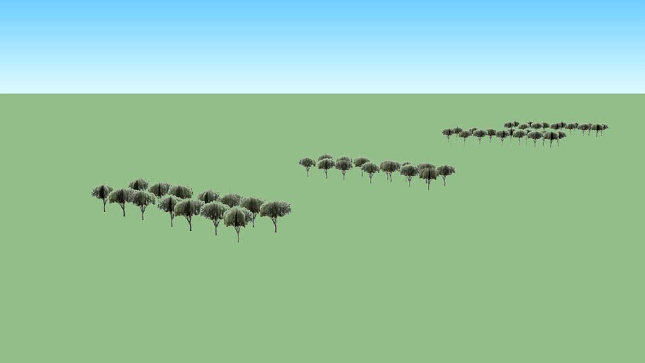 Plantas de Sant Jordi