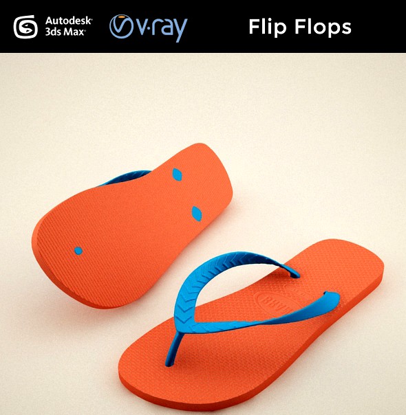 Flip Flops