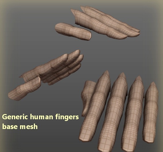 Generic human fingers base mesh