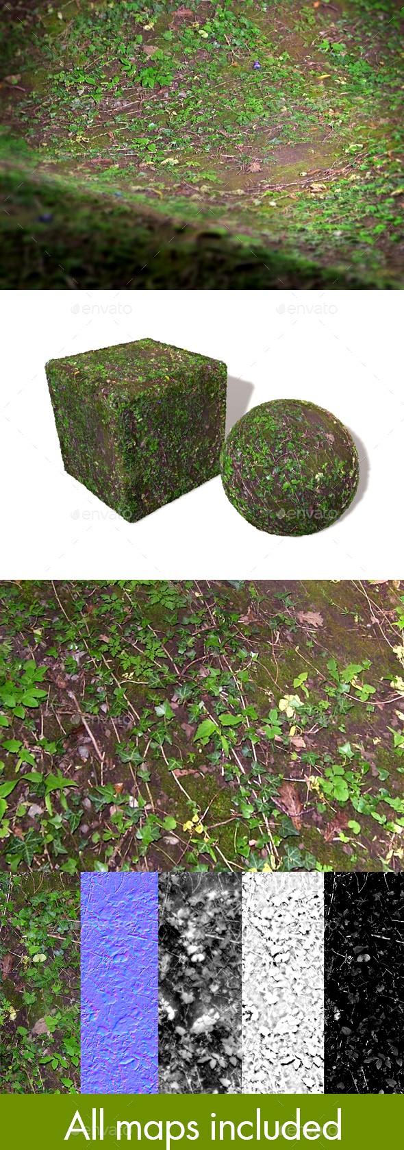 Jungle Ground Seamless Texture