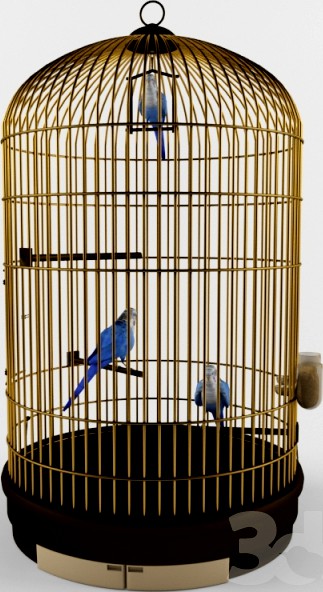 Cage for parrots