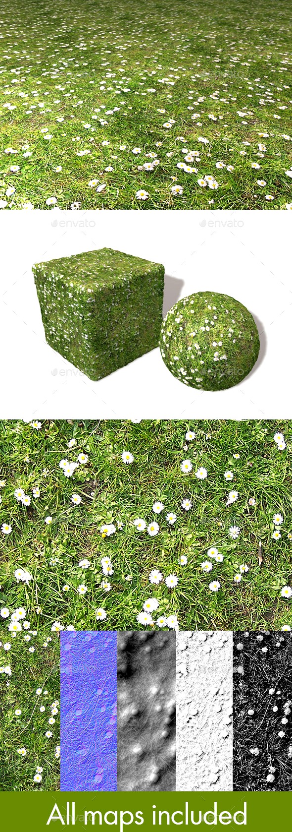 Daisies and Grass Seamless Texture