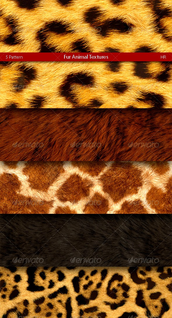 Fur Animal Texture