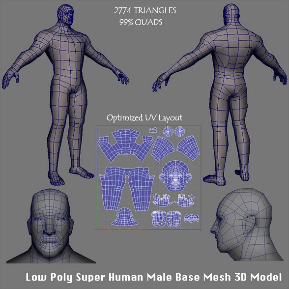 Low Poly Super Human Male Base Mesh 3D Model