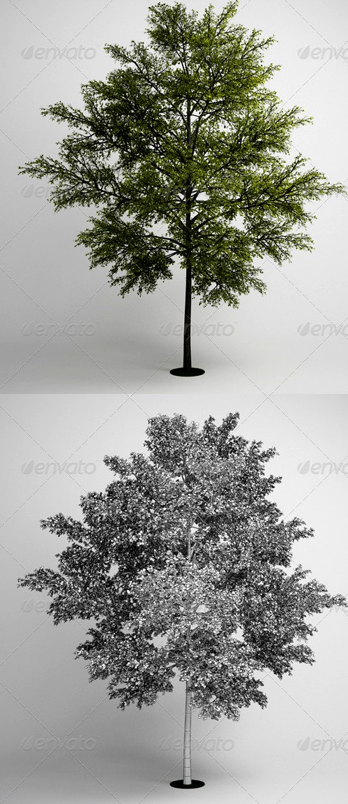 CGAxis Tree 10