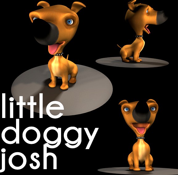 little cute  doggy josh