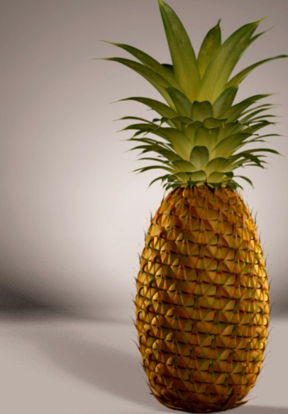 pineapple 3D model with textures
