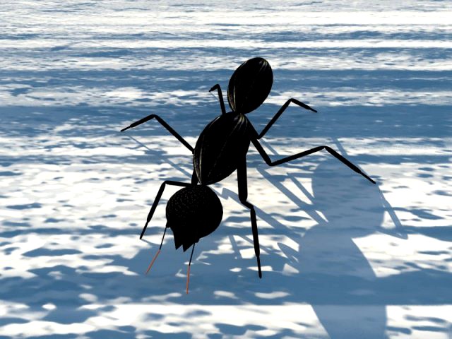 Ant Formica 3D Model