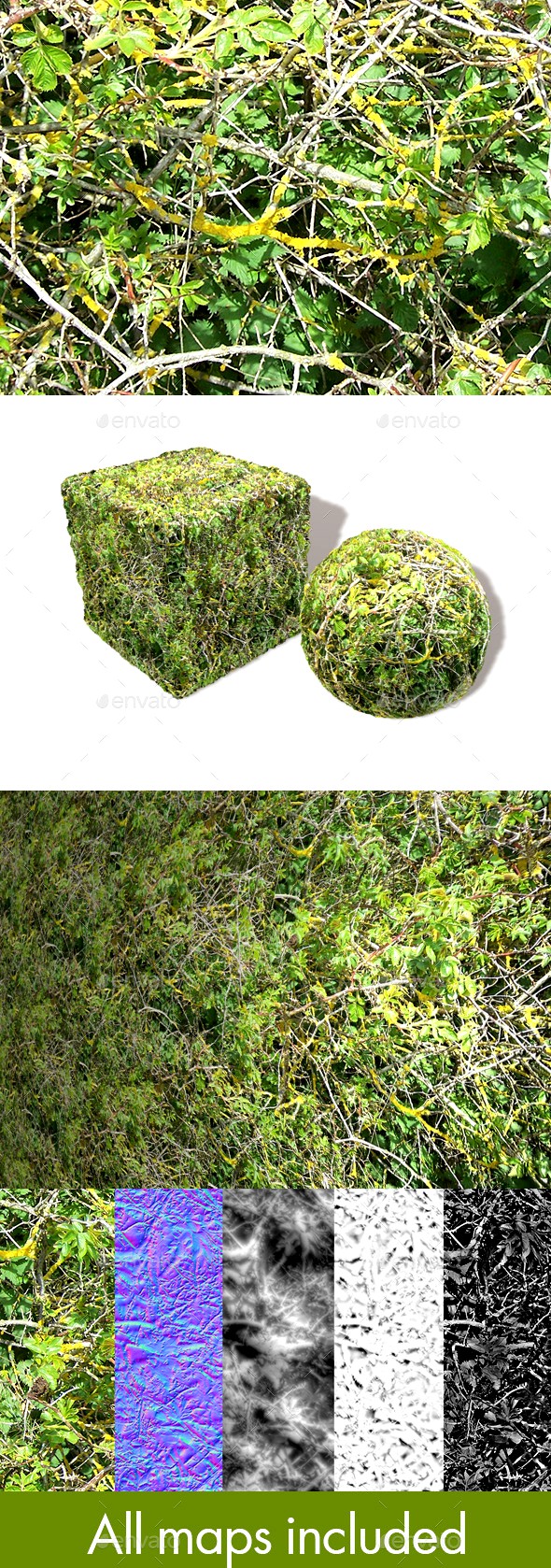 Bush Branches Seamless Texture