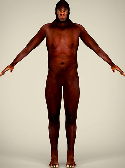 Human Ancestor