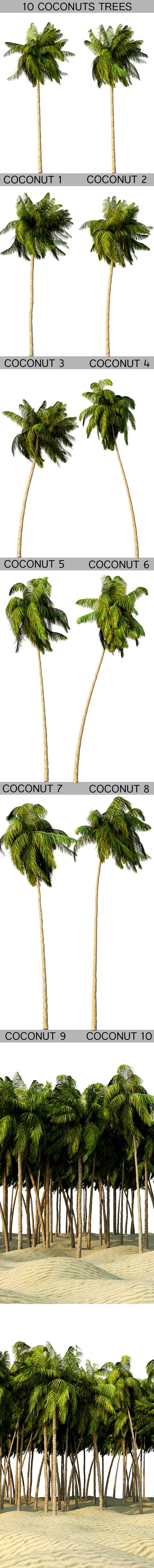 10  Coconuts trees