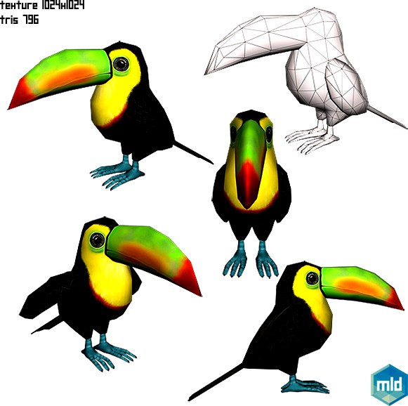 Toucan Parrot