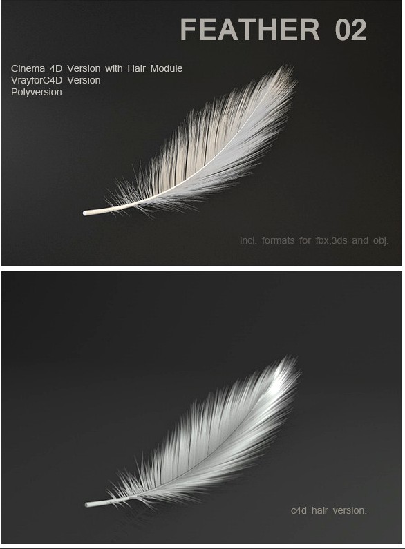 Feather 02