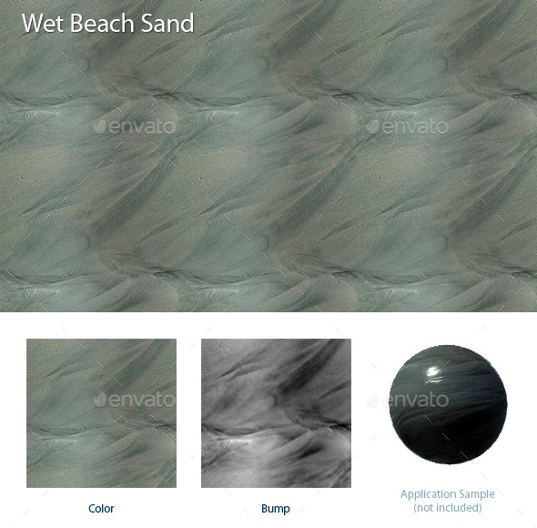 Wet Beach Sand