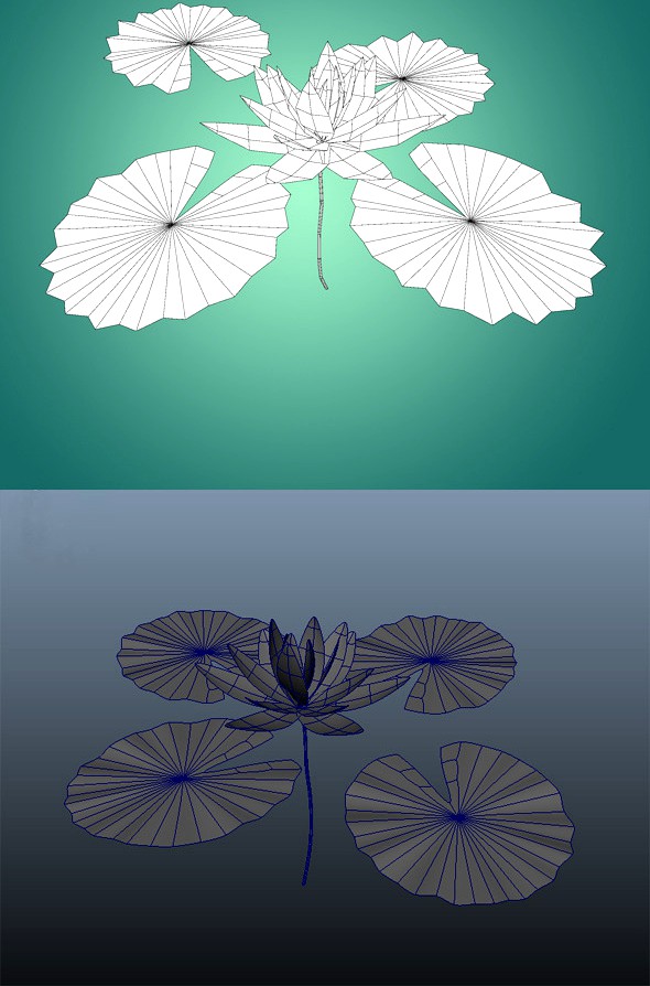 Low Poly Water Lily Flower