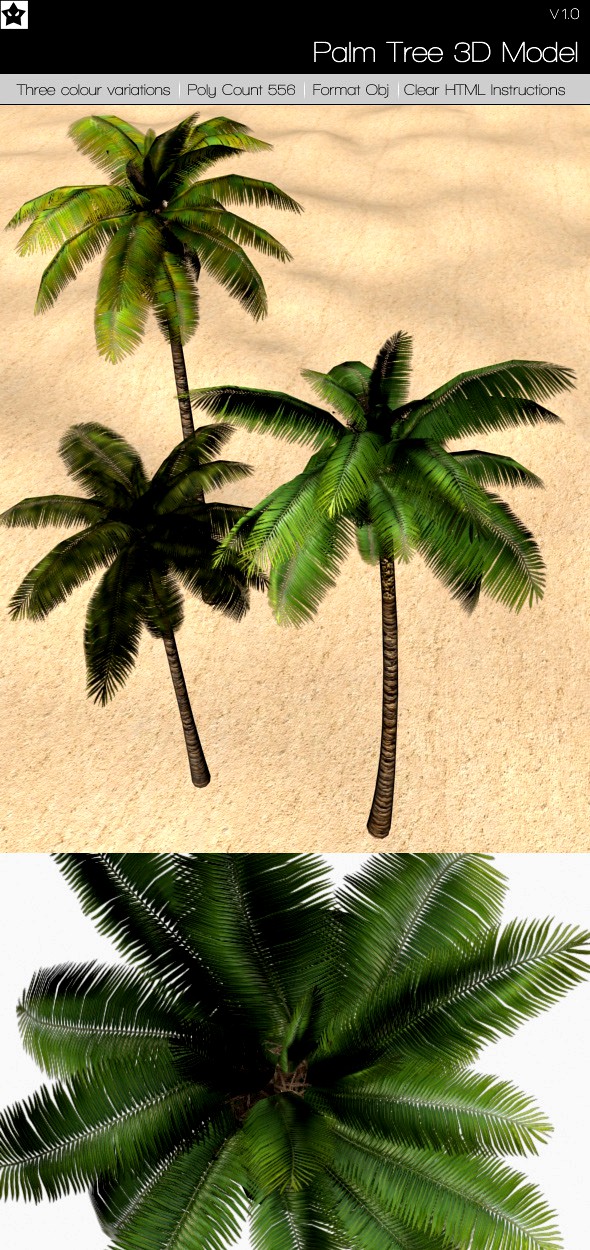 Palm Tree 3D Model