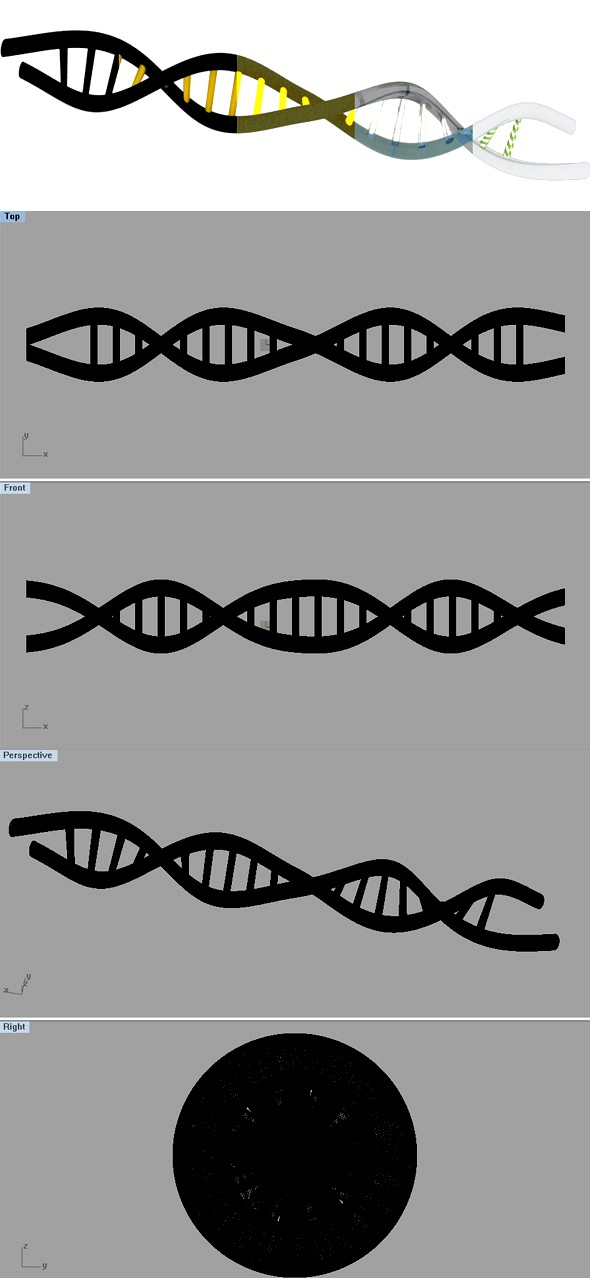 3D DNA Strand Extract