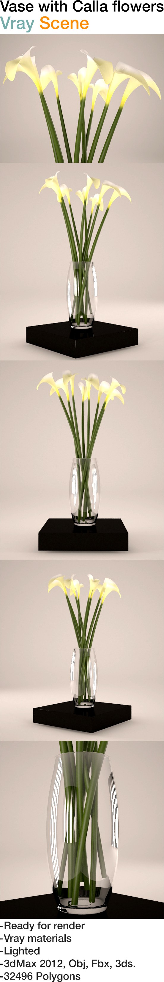 Vase with calla flowers