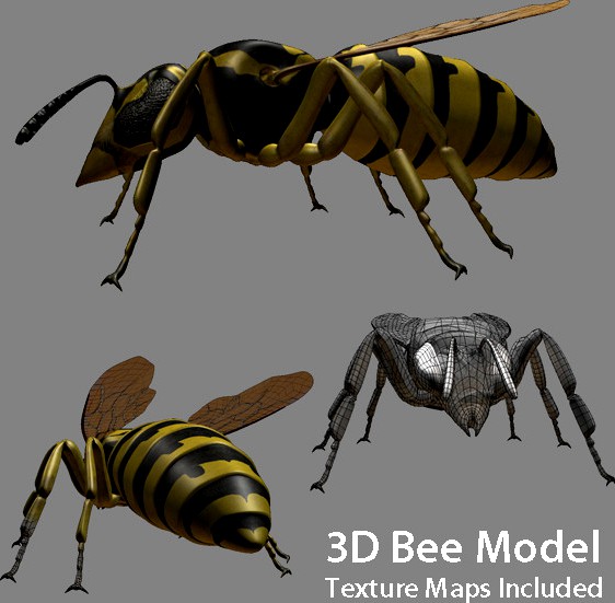 Low poly 3d model of Bee