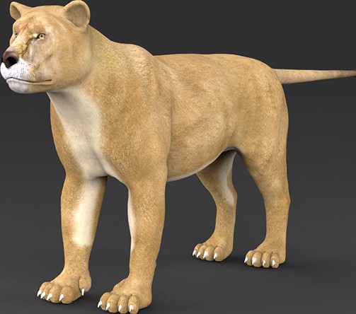 Realistic Lioness