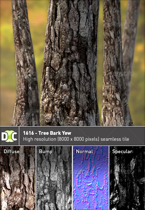 1616 - Tree Bark Yew