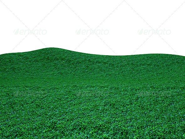 Seamless Tileable Grass Texture