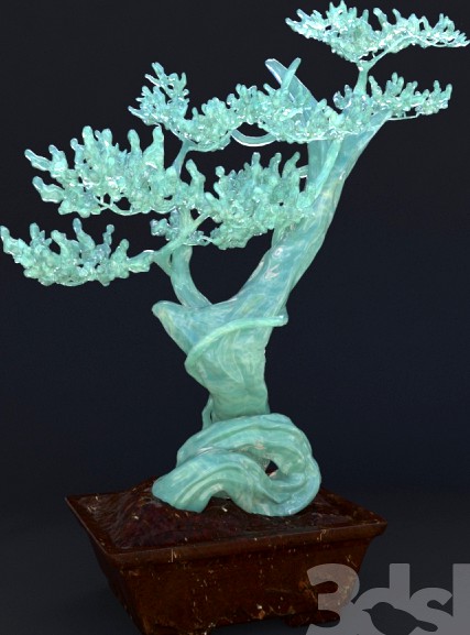 Jade Tree