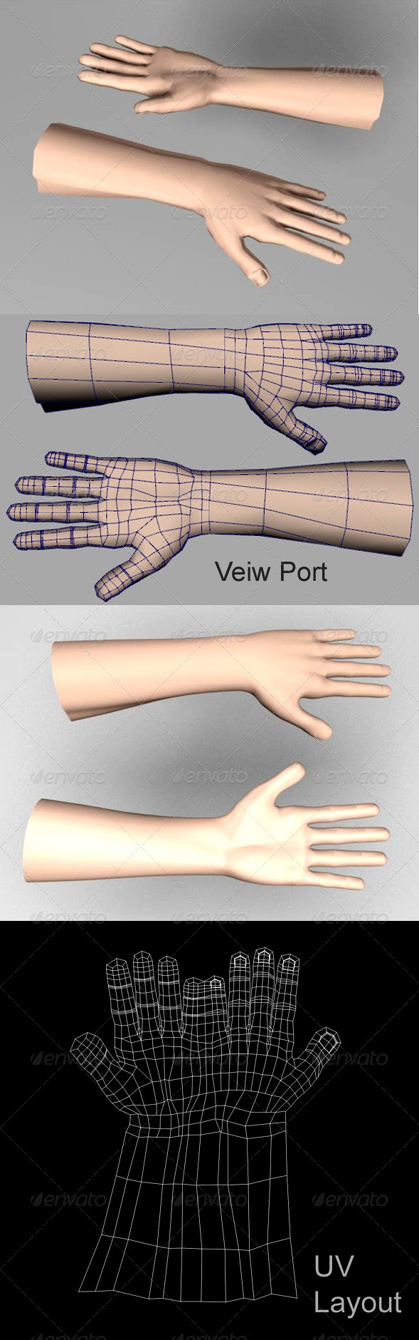 Human Hand