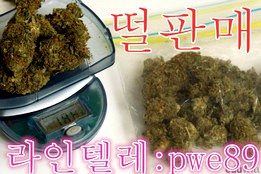 @마리화나판매 ☎라인:텔레【pwe89】마리화나구매,마리화나가격☎카톡【hap88】마리화나구입방법,마리화나효능,마리화나판매사이트