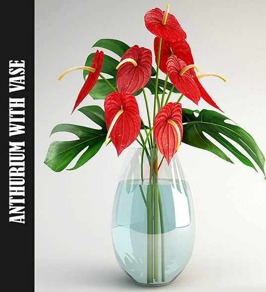 Anthurium
