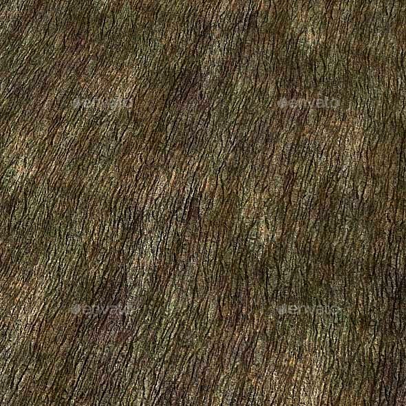 Tree Bark Texture (Seamless)