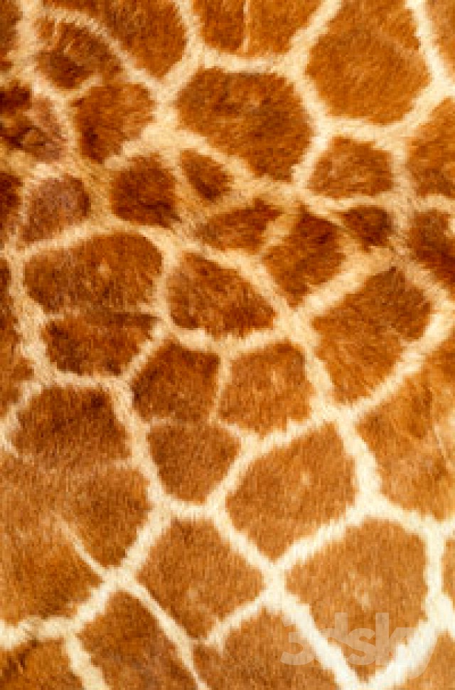 hide
