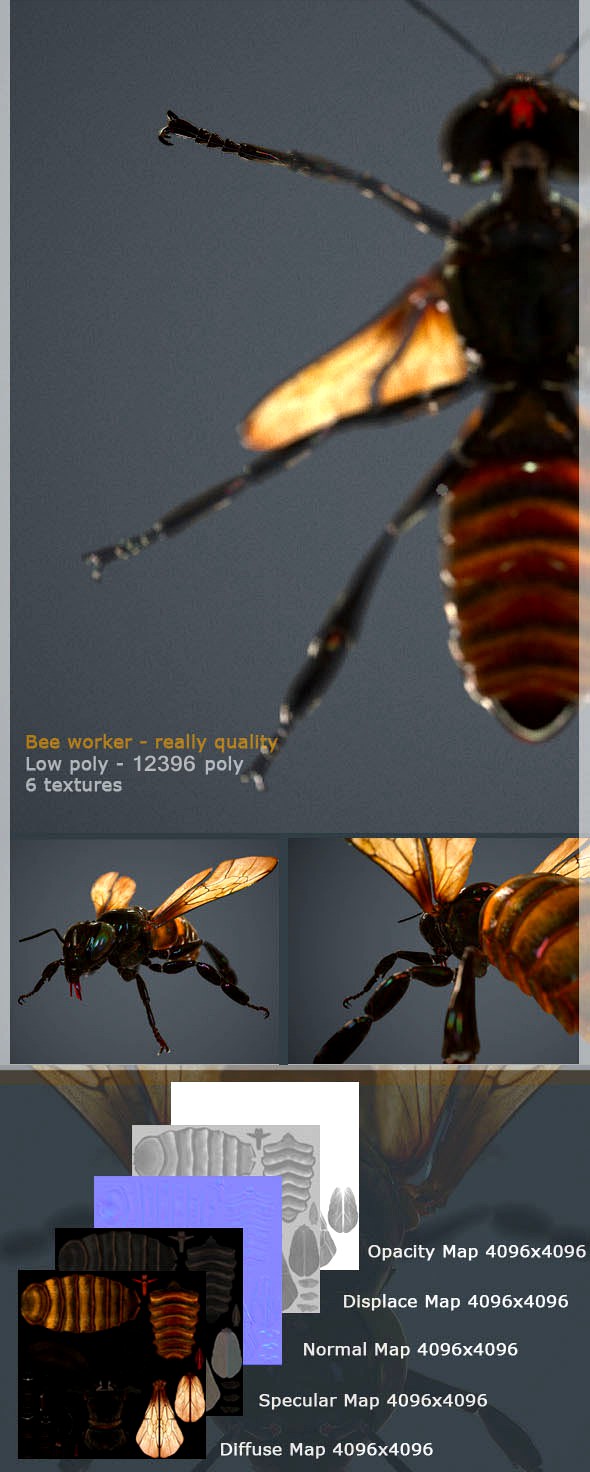 HQ low poly 3d model of bee worker for animation