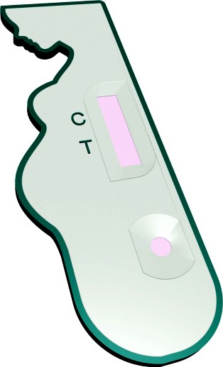 Design Pregnancy Test