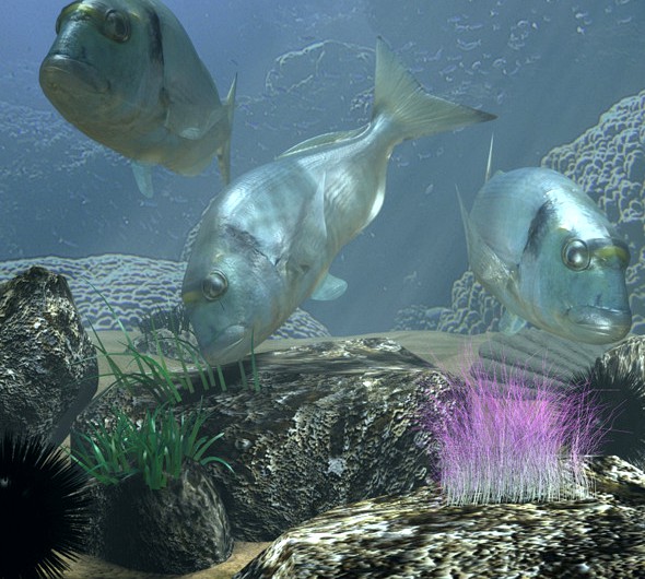 Sea Bream Fish Rigged with Underwater Scene