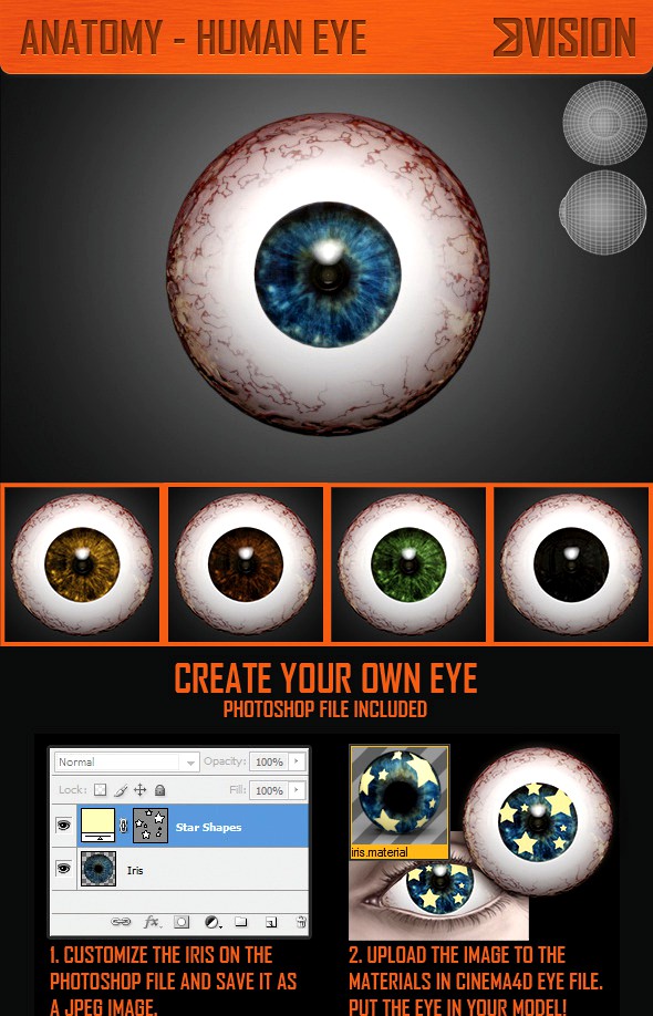 Realistic Human Eye 3D Model