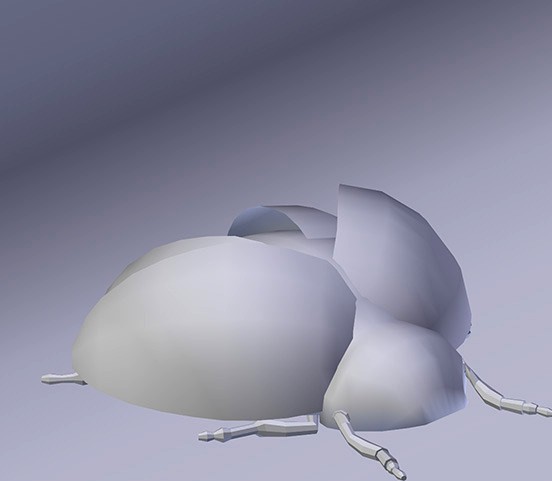 Bug Base Mesh