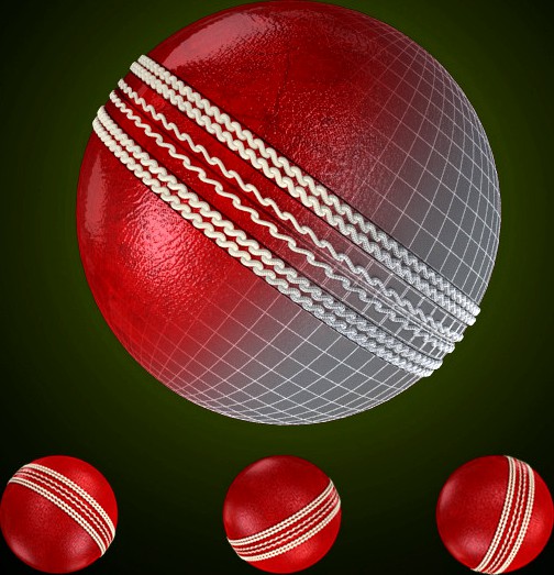 Cricket Leather Ball